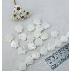白色貝殼-扇貝10mm (1入)